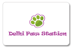 Creative Logo Designing Company in South Delhi